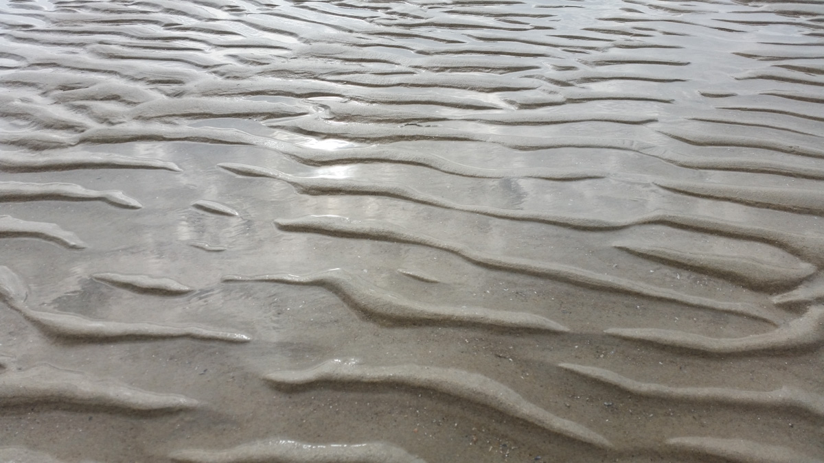 Westenschouwen, Schouwen-Duiveland