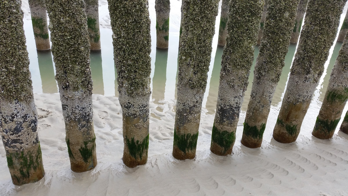 Westenschouwen, Schouwen-Duiveland