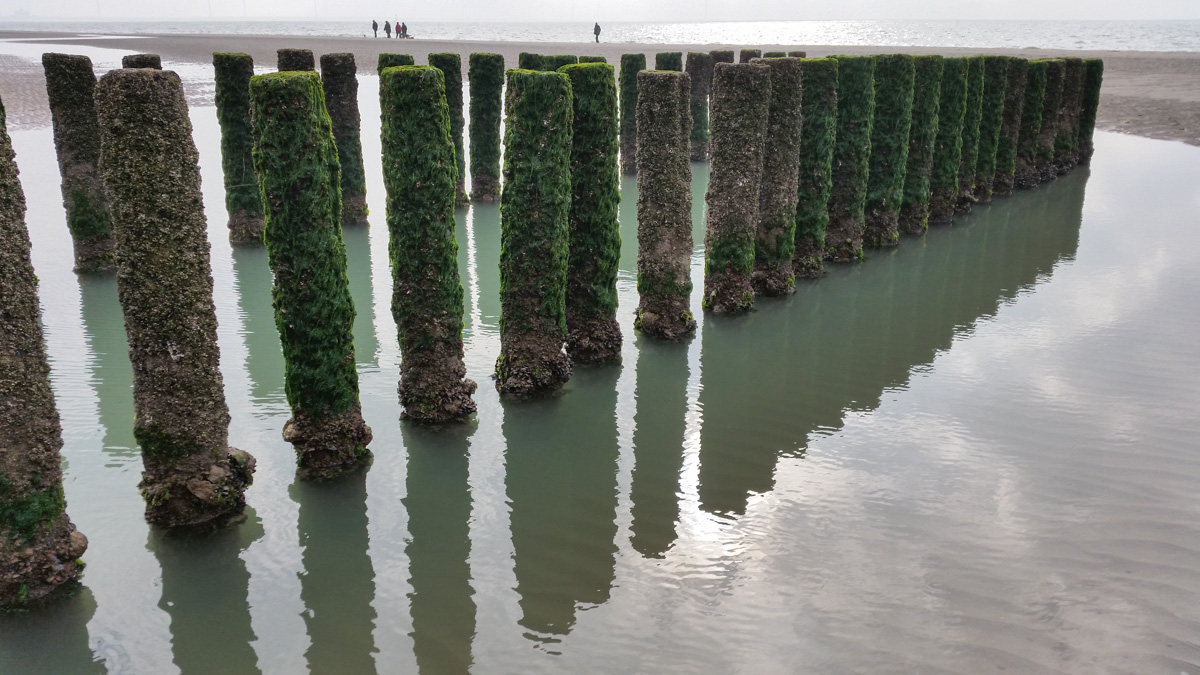 Westenschouwen, Schouwen-Duiveland