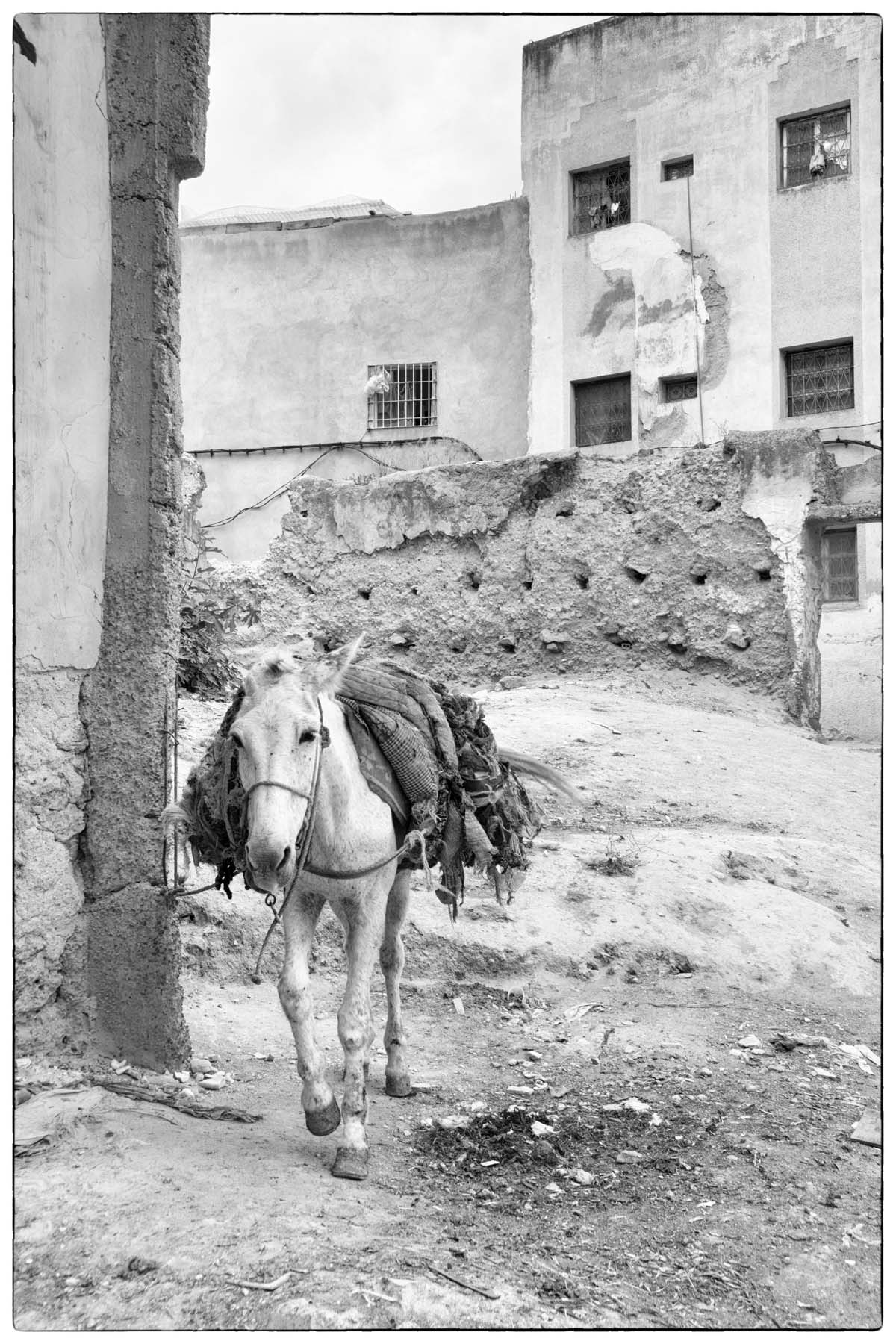 zwart wit in Fez Marokko