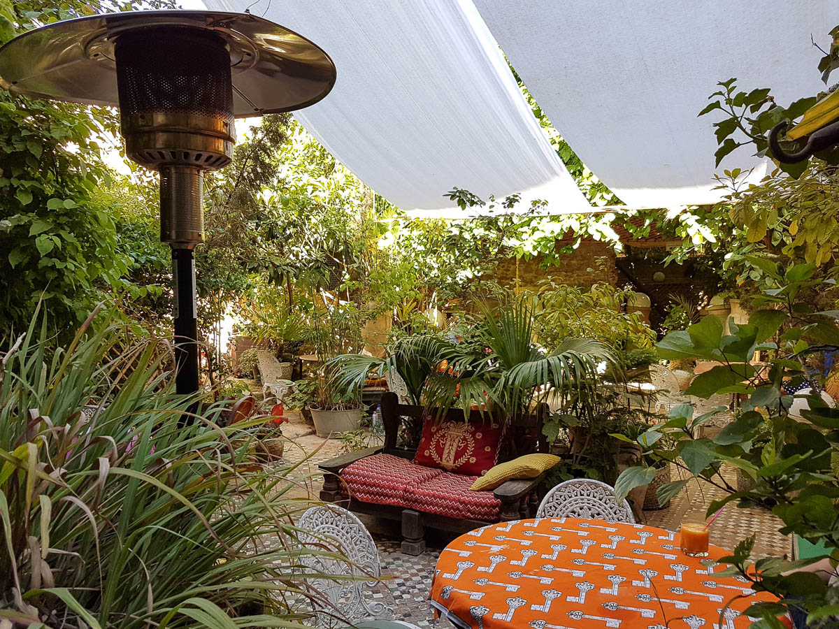 ruined garden fez