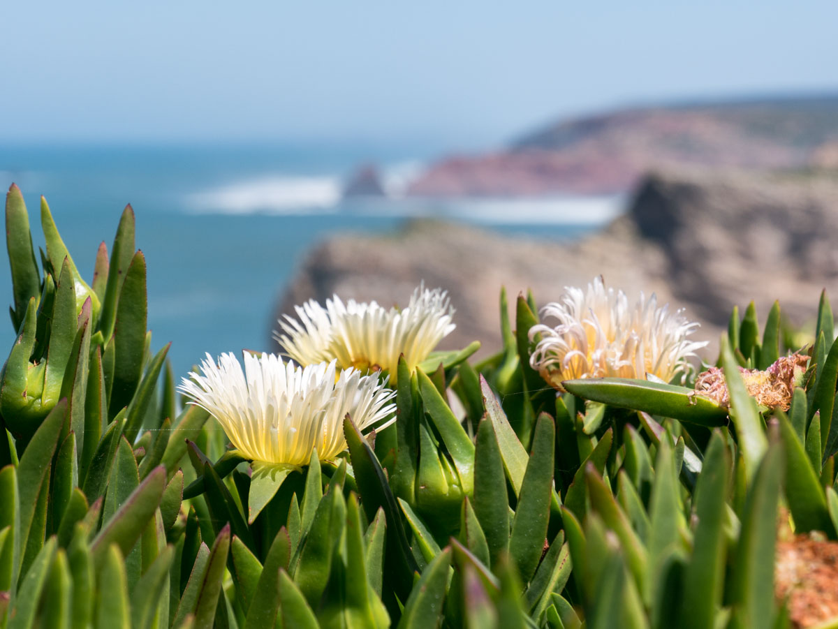 Cabo de São Vicente - Algarve - Portugal