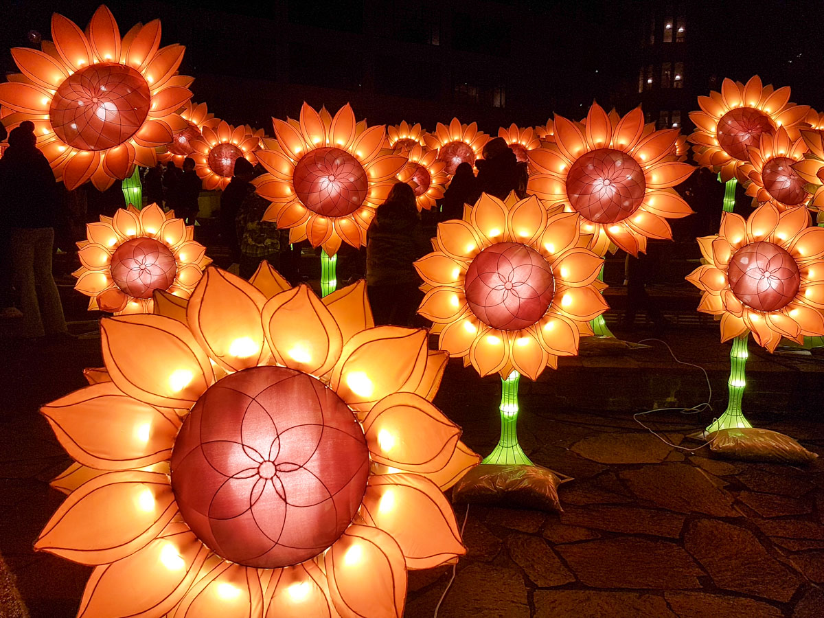 Zonnebloemen voor Van Gogh