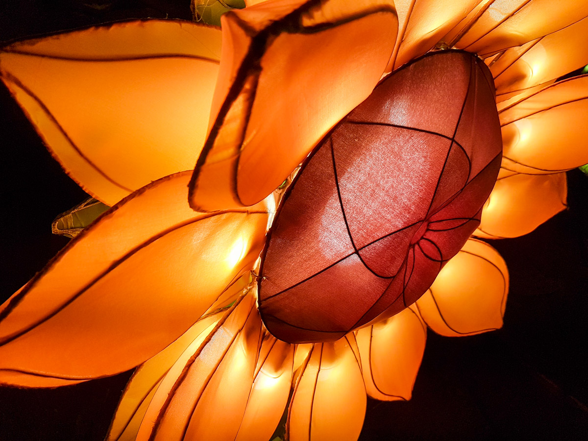 Zonnebloemen voor Van Gogh