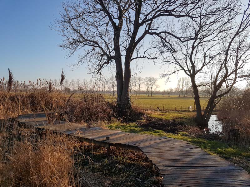 Uden: wandeling over de wijstgronden